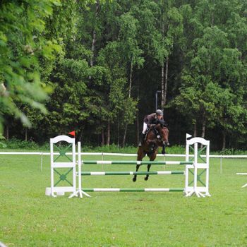 Foto: Hilde Hallre Le Tissier